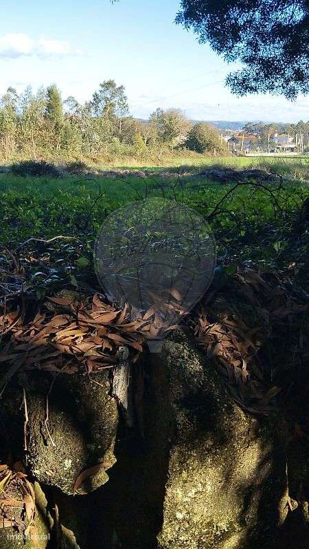 Terreno  para venda - Grande imagem: 2/8