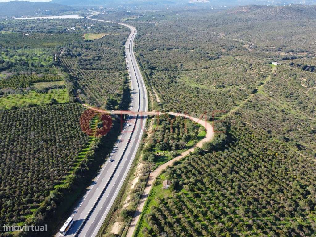 Terreno Misto Exclusivo em Monte Agudo, Tavira - 114 Hectares - Grande imagem: 2/24