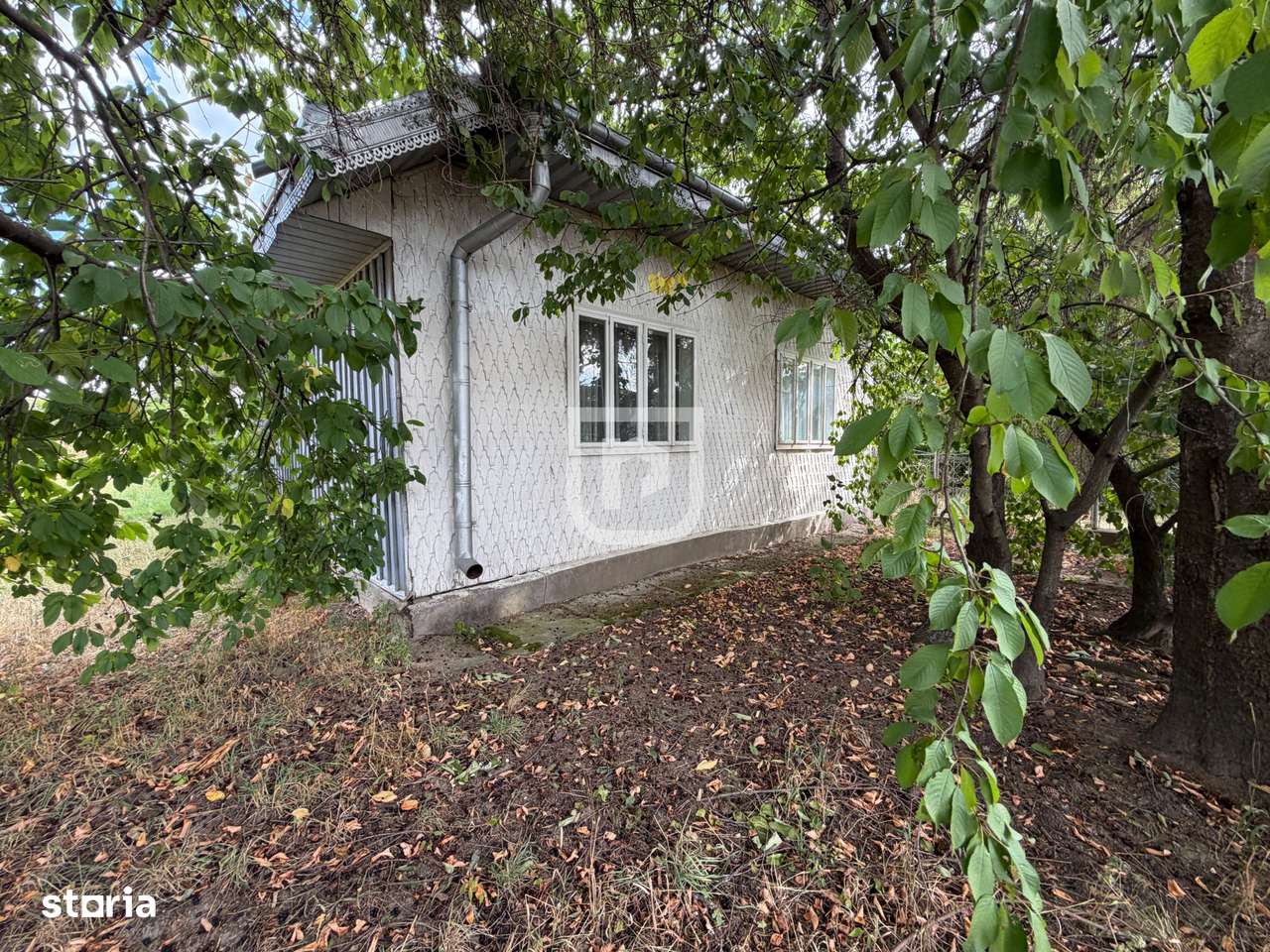 Casa + 1.600 MP teren Intravilan – Băișești | Aproape de Școală-13