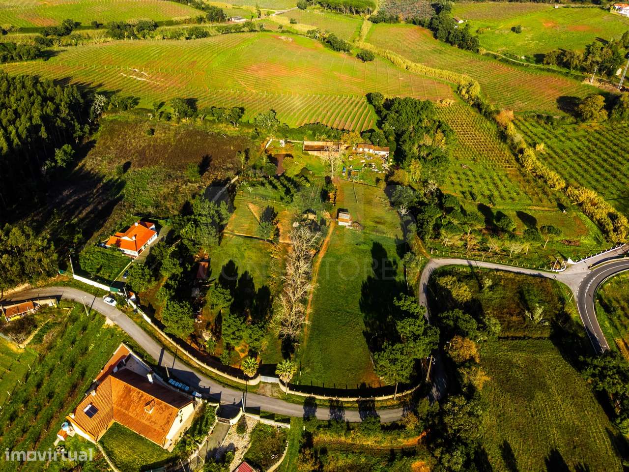 Moradia em ruínas num terreno de 10.699m2-11