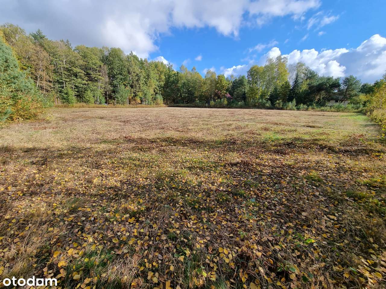 Działka budowlana przy lesie z WZ, woda, prąd, urokliwe otoczonie-0