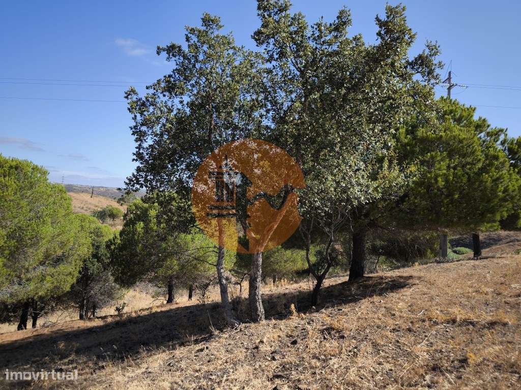TERRENO COM 99.080 m2 - COM APOIO AGRICOLA EM RUINAS - POSSIBILIDAD... - Grande imagem: 4/31