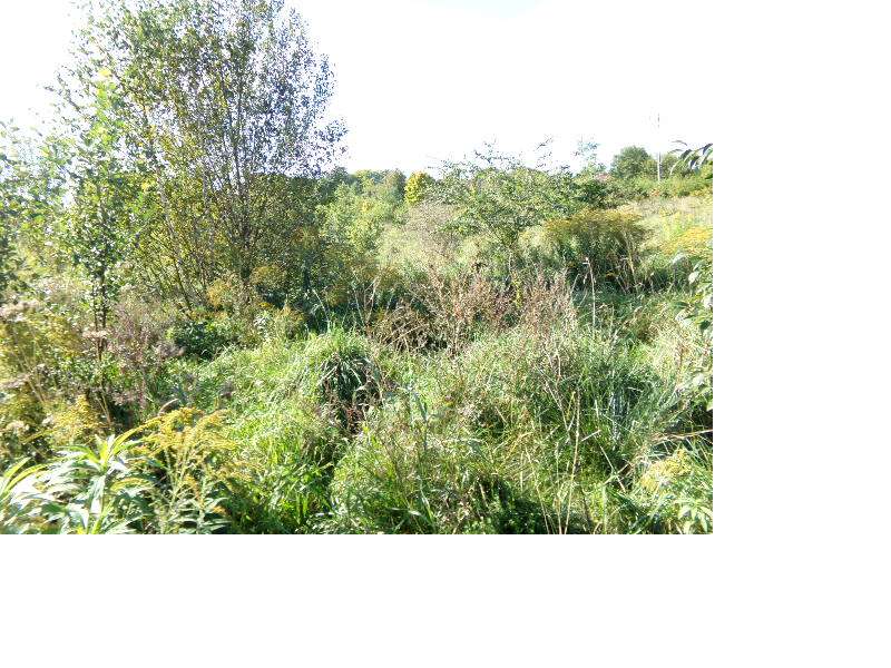 Działka o pow. 1005 m2 w Ługwałdzie ul. Kalinowa - Pełny obrazek: 5/6