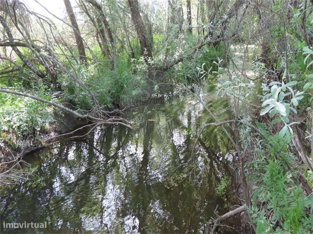 Quinta  para venda - Grande imagem: 5/30