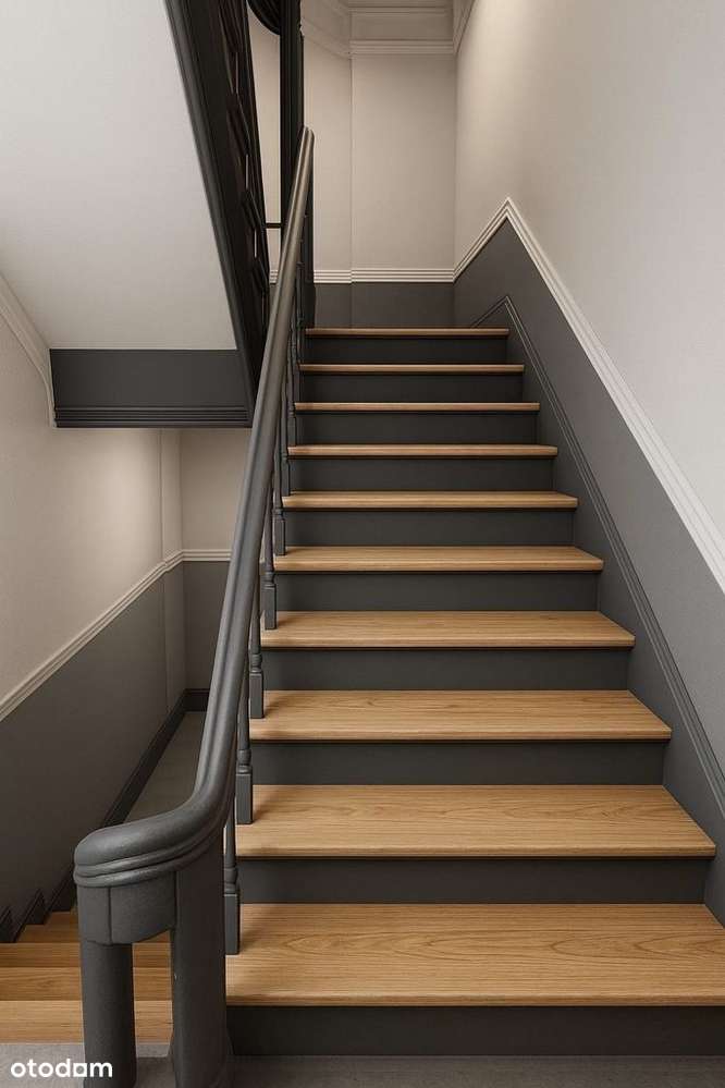 Apartament w zrewitalizowanej Kamienic-1