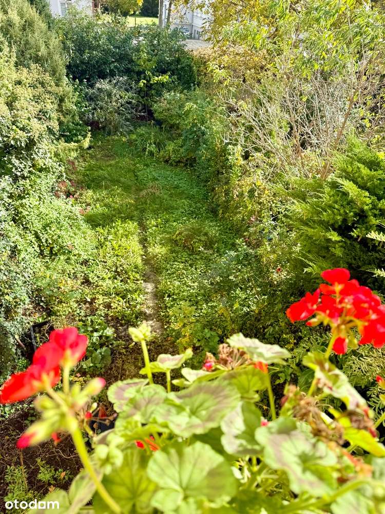 OKAZJA!!! Dom - Borek-0