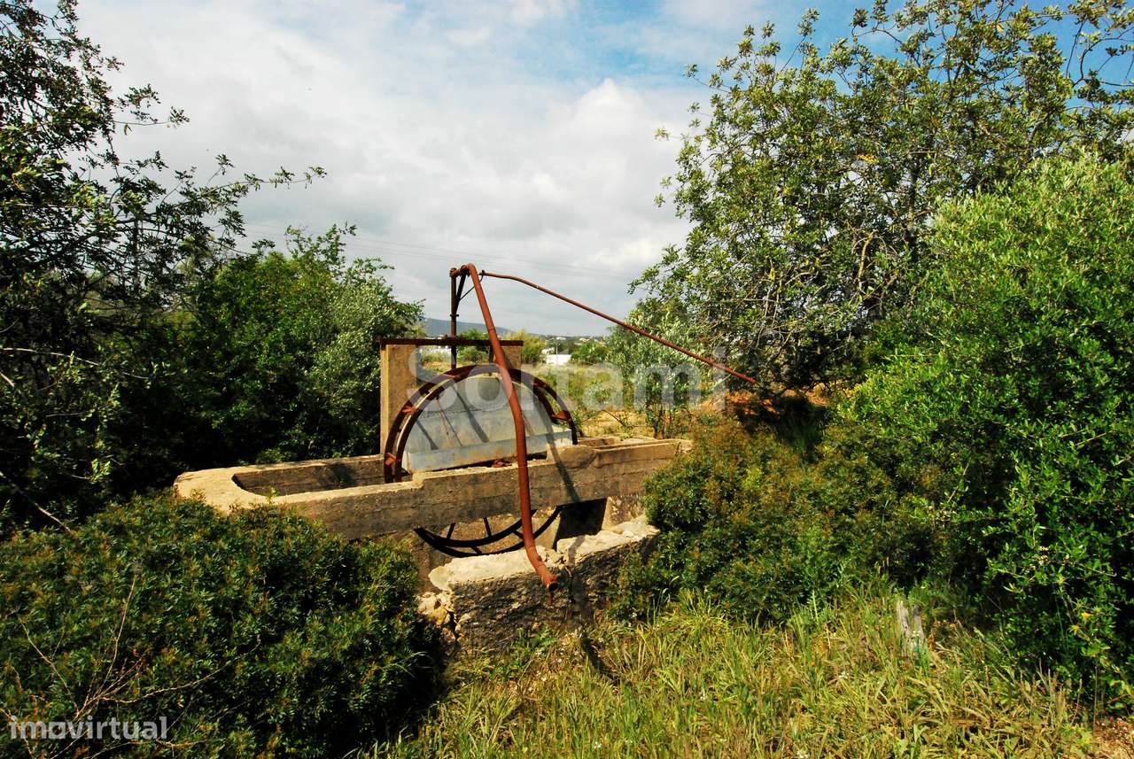Terreno Rústico  Venda em Quelfes,Olhão - Grande imagem: 4/6