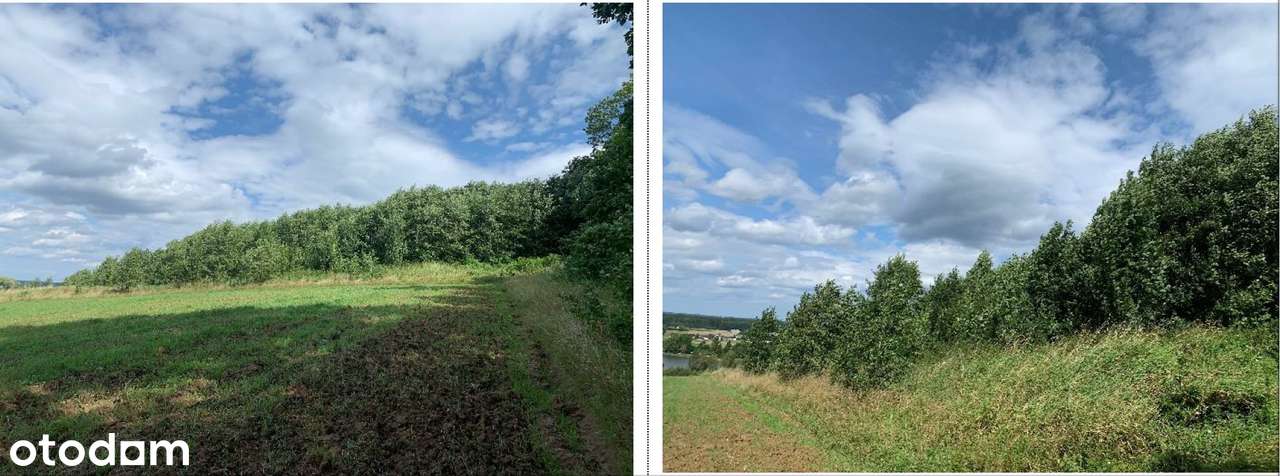 przetarg na sprzedaż działki o pow. 44.045 m2, Iłownica - Pełny obrazek: 4/5