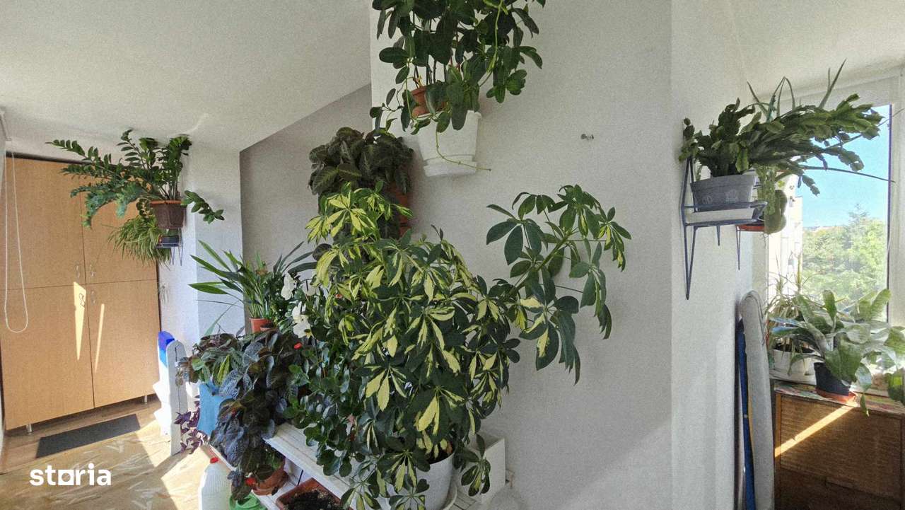 Apartament 2 camere de vanzare Splaiul Crisanei, Decebal-5