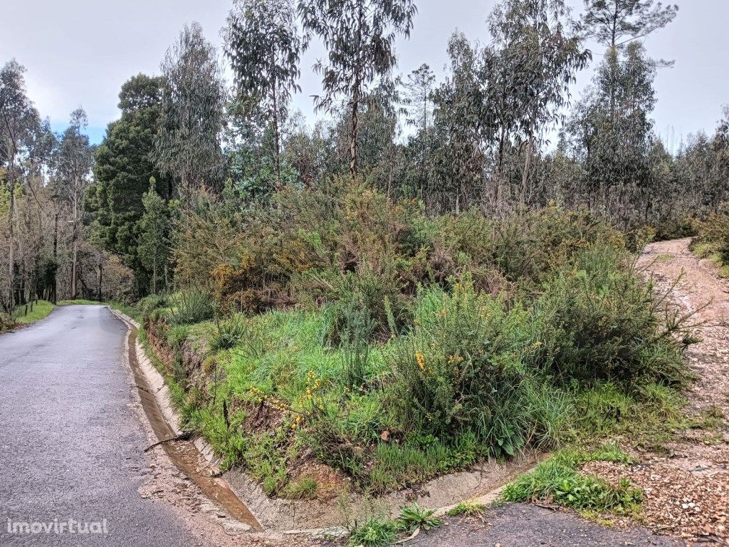 Terreno - Rota dos Moinhos - Angeja