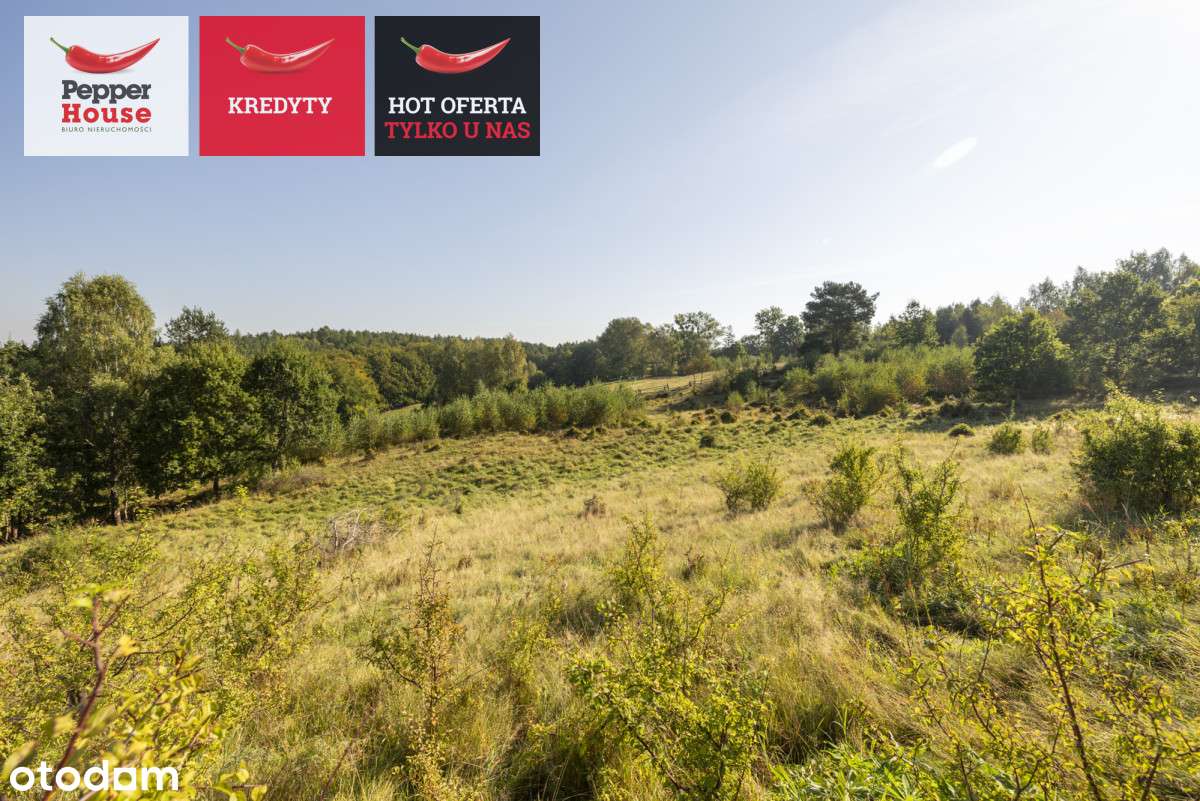 Przepiękna działka pod zabudowę jednorodzinną - Pełny obrazek: 4/20
