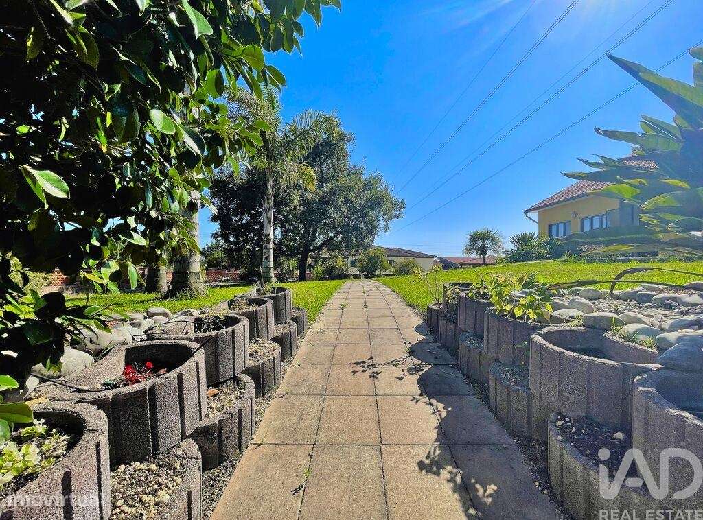 Prédio T8 em Monte Redondo e Carreira de 320,00 m2 - Grande imagem: 4/30