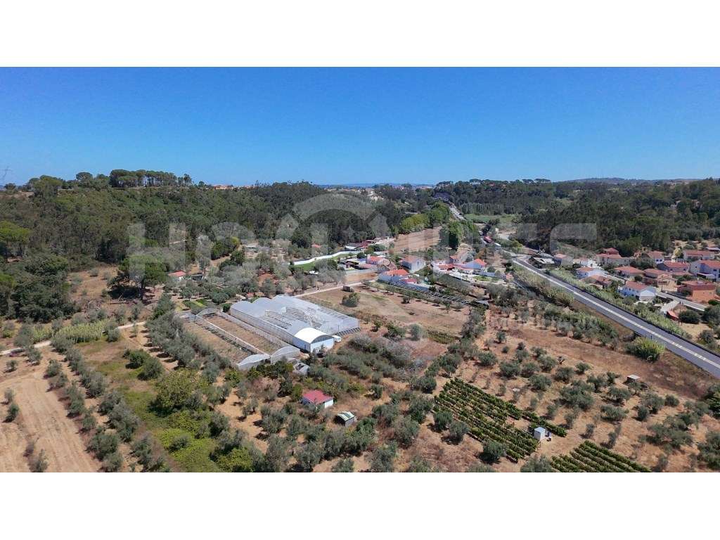 Terreno Agrícola com Estufas Preparadas para Produção em Hidroponia...-7