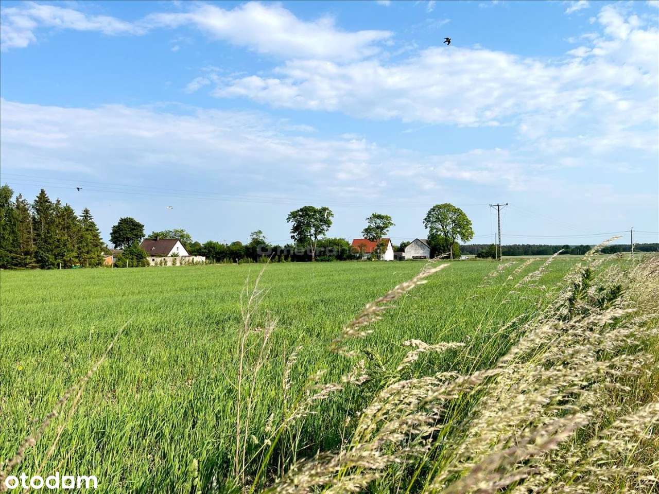 Działka budowlana koło Dygowa blisko Kołobrzegu! - Pełny obrazek: 4/10