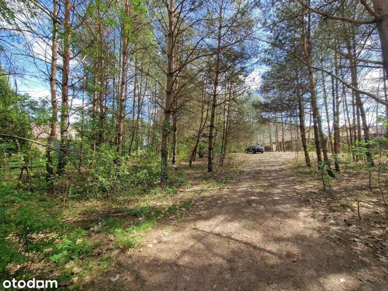 Atrakcyjne działki - Zbiczno-3