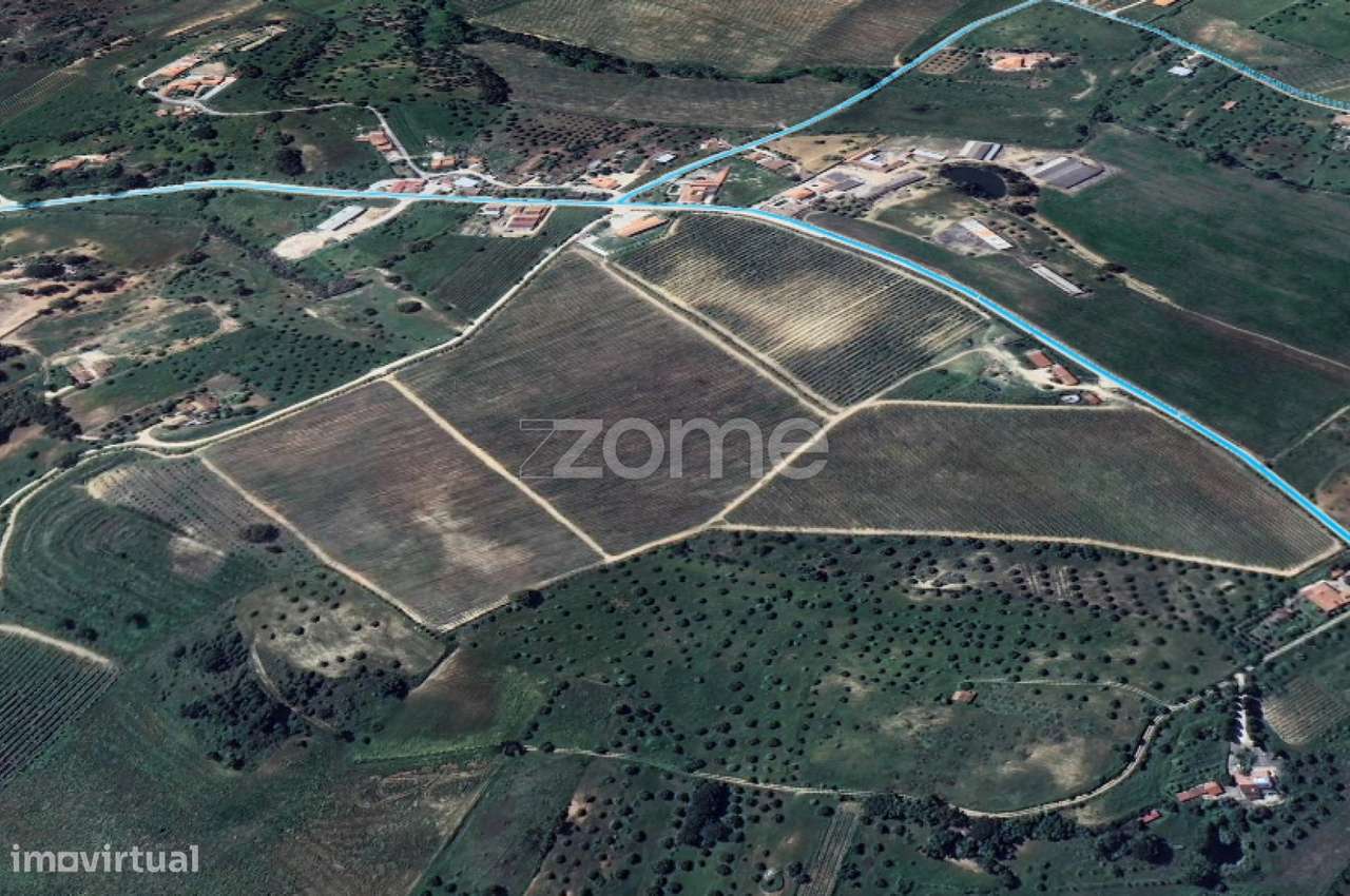 Quinta em Torres Novas-9