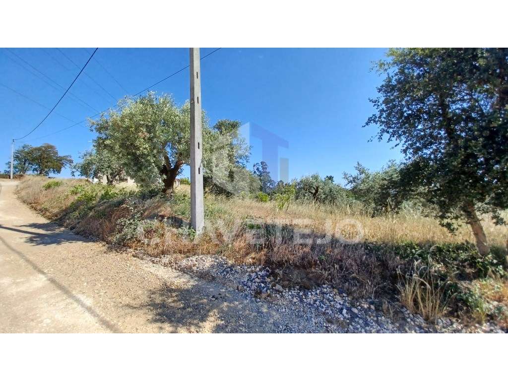 Terreno para construção com 976 m2, a 7km da Cidade de Tomar. - Grande imagem: 4/10