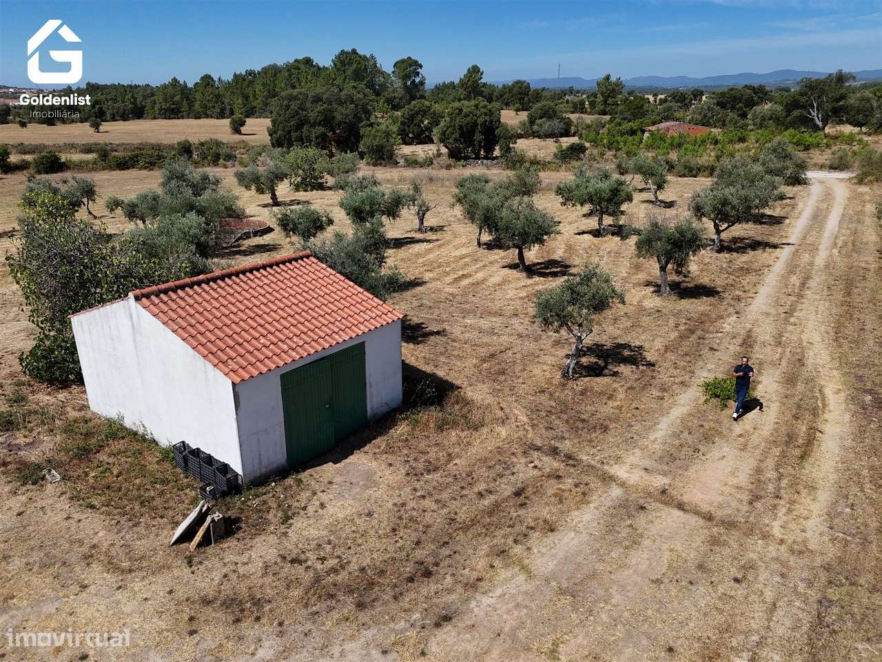 Quinta  Venda em Lardosa,Castelo Branco-18