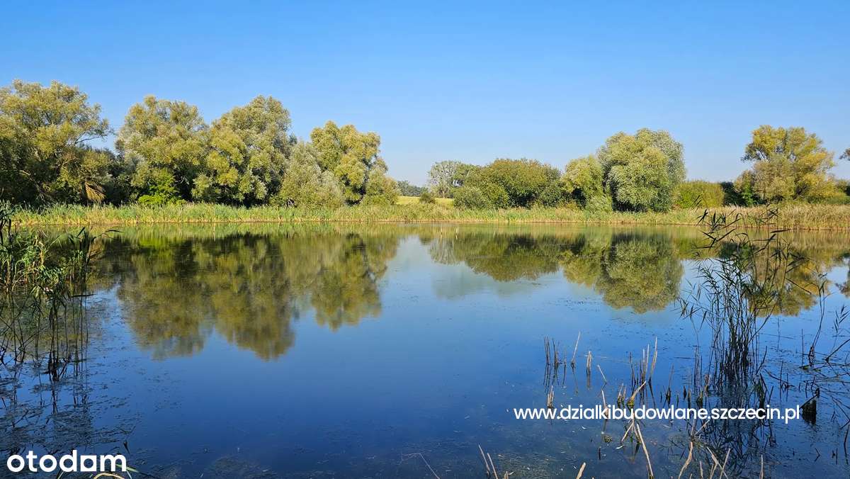 Działka budowlana z planem miejscowym. Przylep k. Gumieniec, Szczecin - Pełny obrazek: 5/8