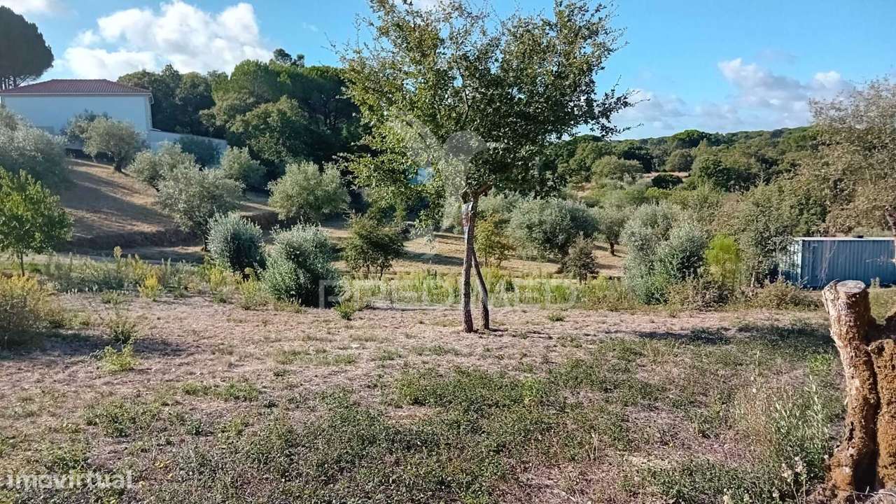 Terreno para construção em Seiça - Grande imagem: 4/21