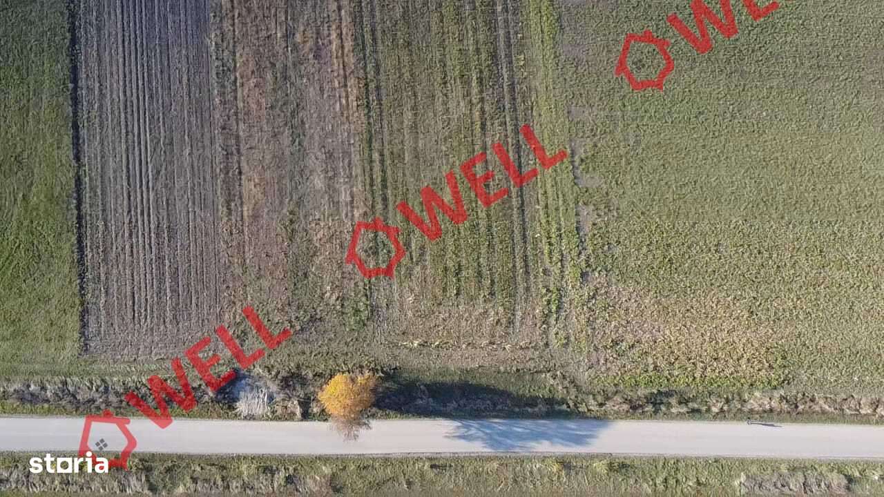 Teren extravilan de vânzare între Valea Crișului și Calnic - Imagine principală: 3/4