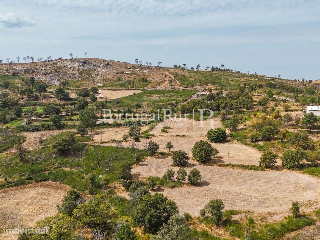 Quinta de 24ha com potencial para Turismo - Grande imagem: 4/57