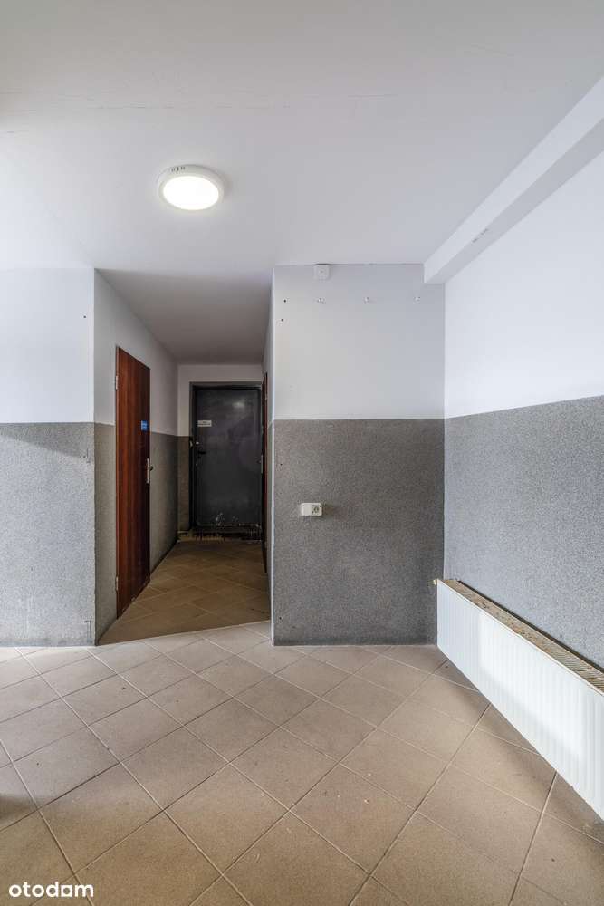 10 000  m2  w centrum Szczekocin-12