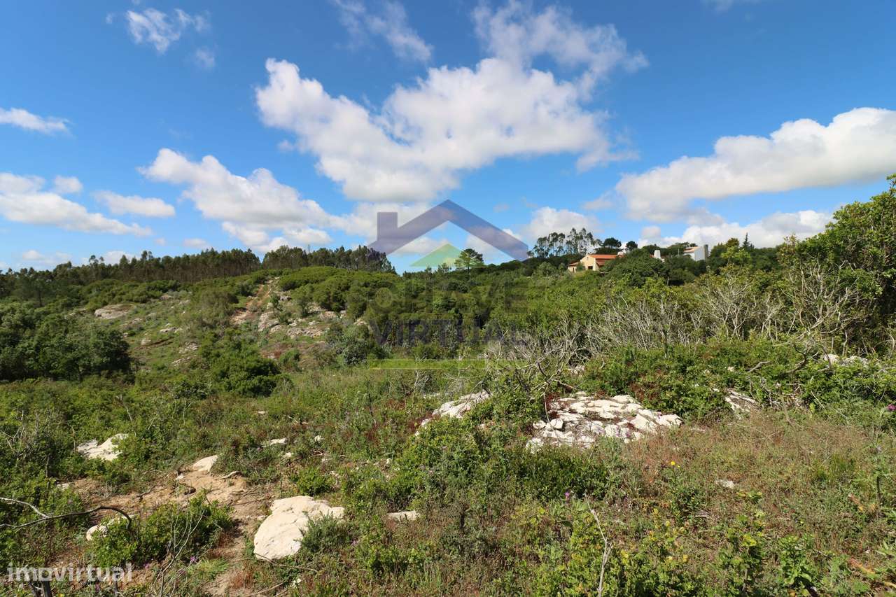 Terreno Rústico c/ 16.520 m2 Reguengo Pequeno - Lourinhã-24
