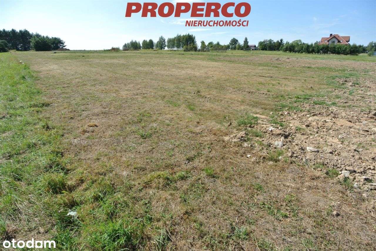 Działka 1317m2, Lisów, Morawica - Pełny obrazek: 5/7