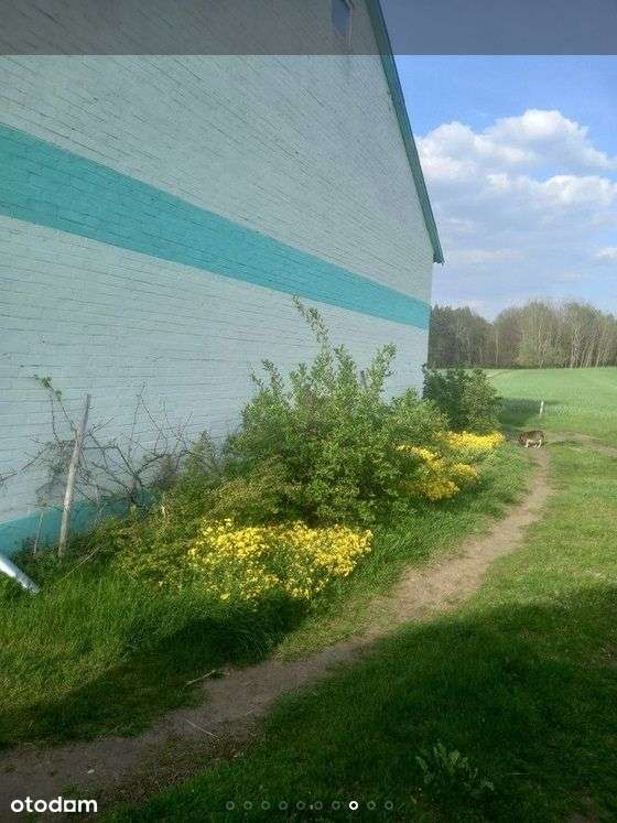 Dom 180m2, okolice Poddębic-7