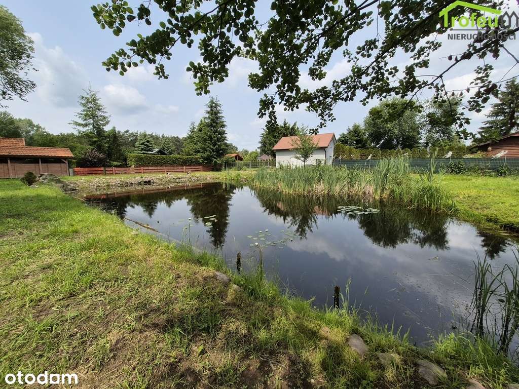 Działka ROD Dr. Jalkowskiego, Mniszek-4