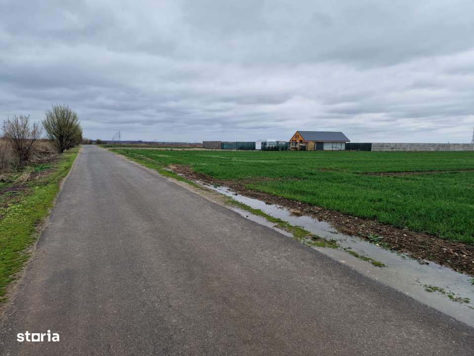 TEREN DE VANZARE DRAGOMIRESTI VALE - Imagine principală: 2/5