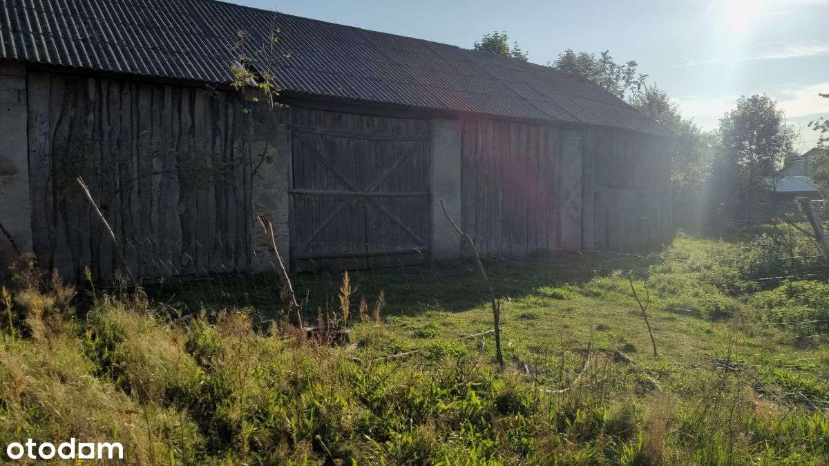 941545 - Pełny obrazek: 4/5