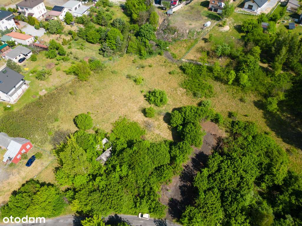 Działka w spokojnej okolicy ul. Bieliny - 1601m2 - Pełny obrazek: 4/9