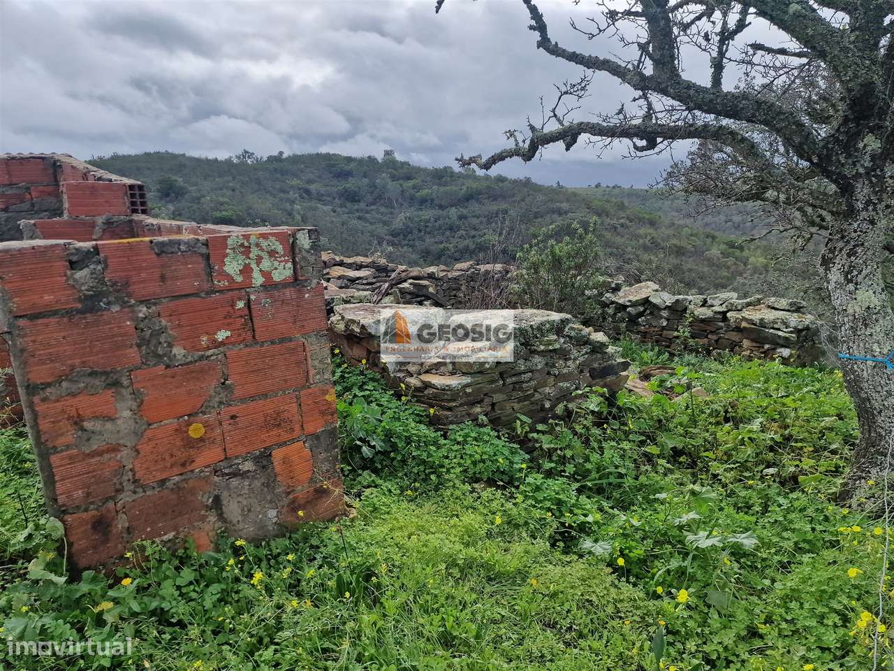 Terreno Rústico  Venda em Santana da Serra,Ourique - Grande imagem: 5/8