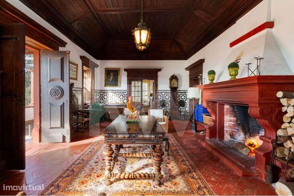 VILLA HISTÓRICA EM QUINTA ÁGUEDA A 1H DO AEROPORTO DO PORTO - Grande imagem: 5/60