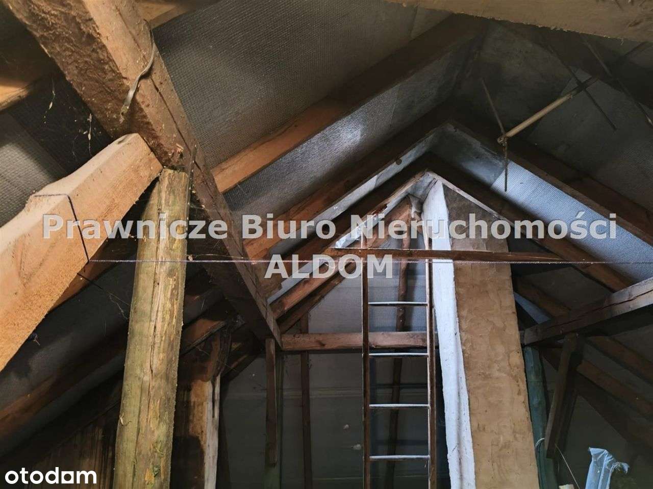 Dom pod Olesnem, Kolonia Łomnicka-18