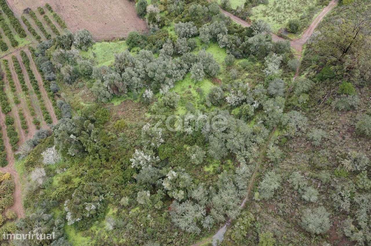 Terreno Rústico com 2.600m2 em Ladeira da Cumeada, Messines - Grande imagem: 5/15