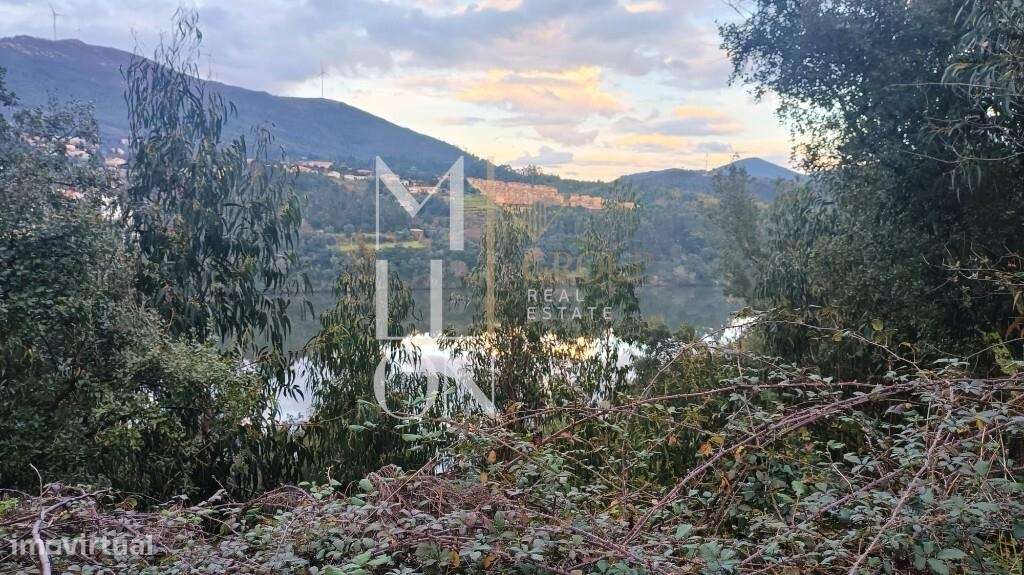 Terreno Rústico junto ao Rio Douro – Pedorido, Castelo de Paiva - Grande imagem: 3/9