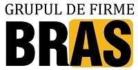 BRAS-Reprezentanta Renault logo