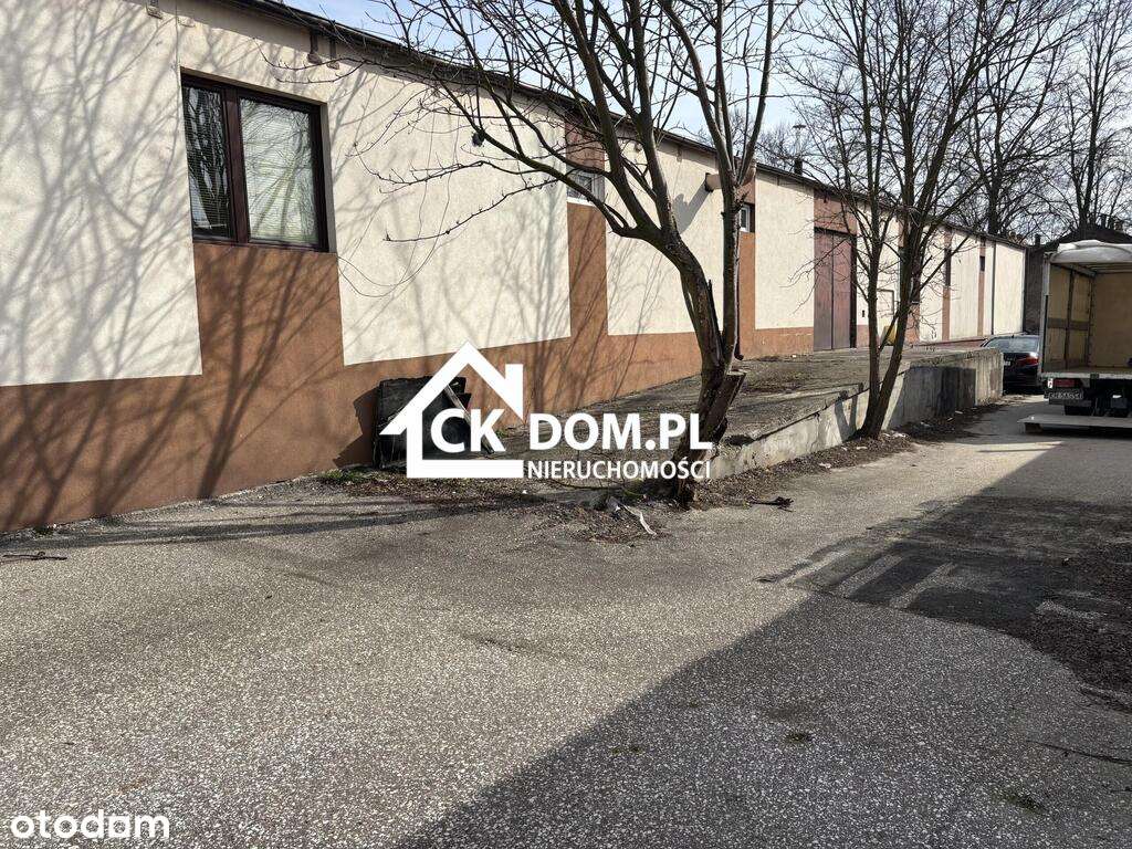 Budynek handlowo-usługowy 290 m², Pińczów - Pełny obrazek: 5/9