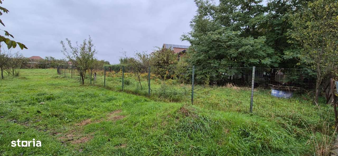 De vanzare teren 500 mp - sat Tirimioara-1