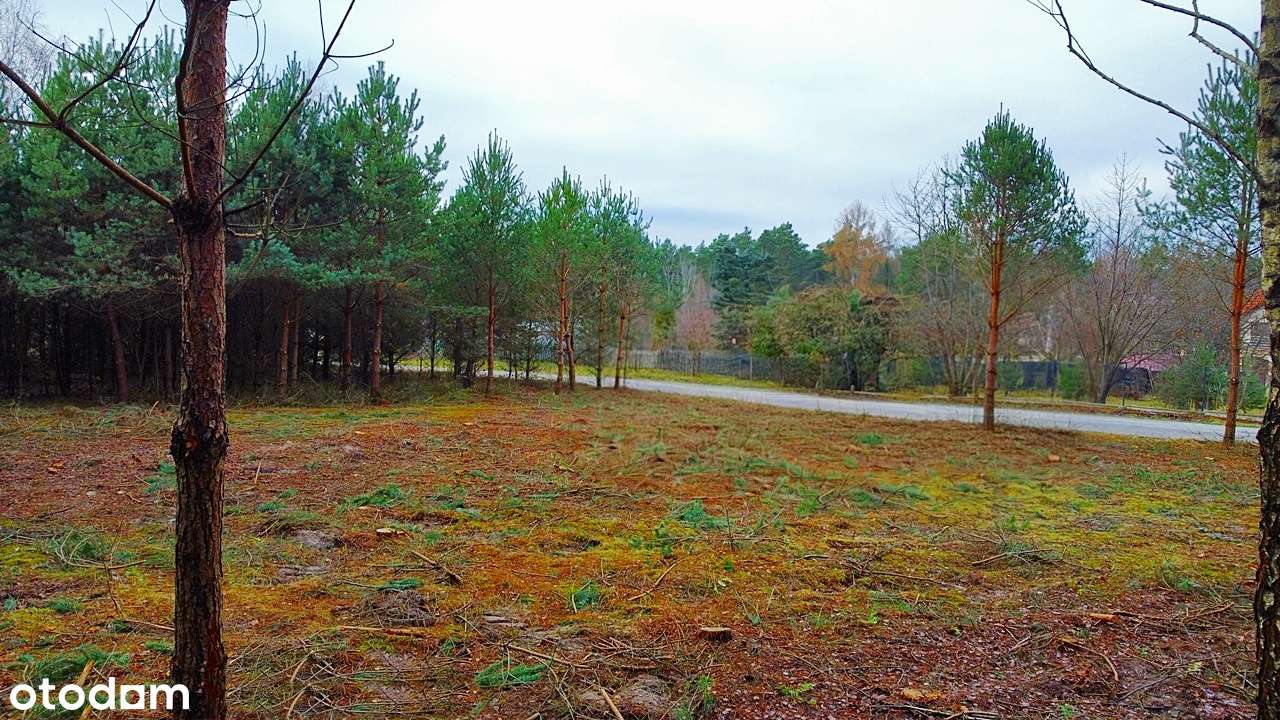 Działka budowlana | Radlin | Ogrodzenie-4