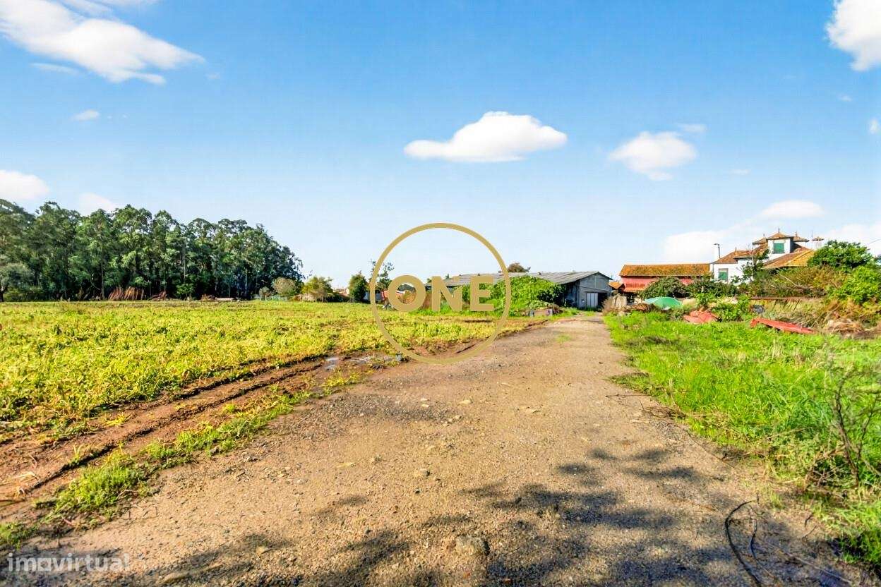 Quinta com 1.9 Hectares no Castêlo da Maia-12