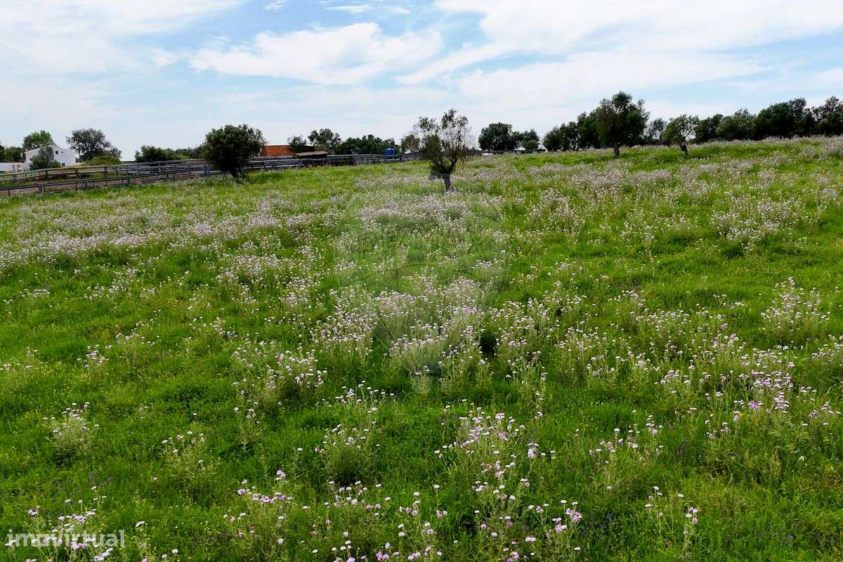 Terreno  para venda - Grande imagem: 5/10