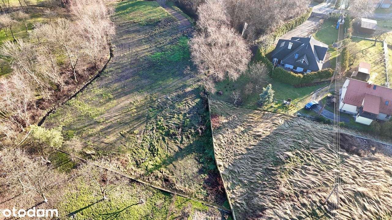 Na sprzedaż atrakcyjna działka w Mogilanach-10