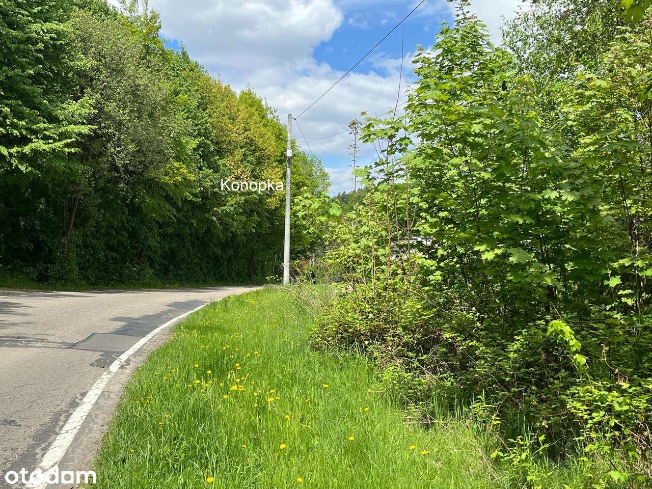 Przestrzeń dla Twoich marzeń w Dolinie Mnikowskiej-2