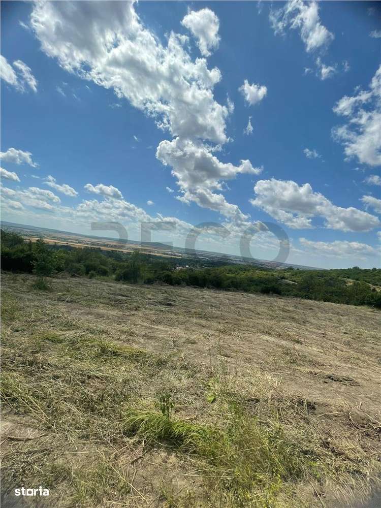 RECO Teren Extravilan Podgoria Oradea - Imagine principală: 1/10