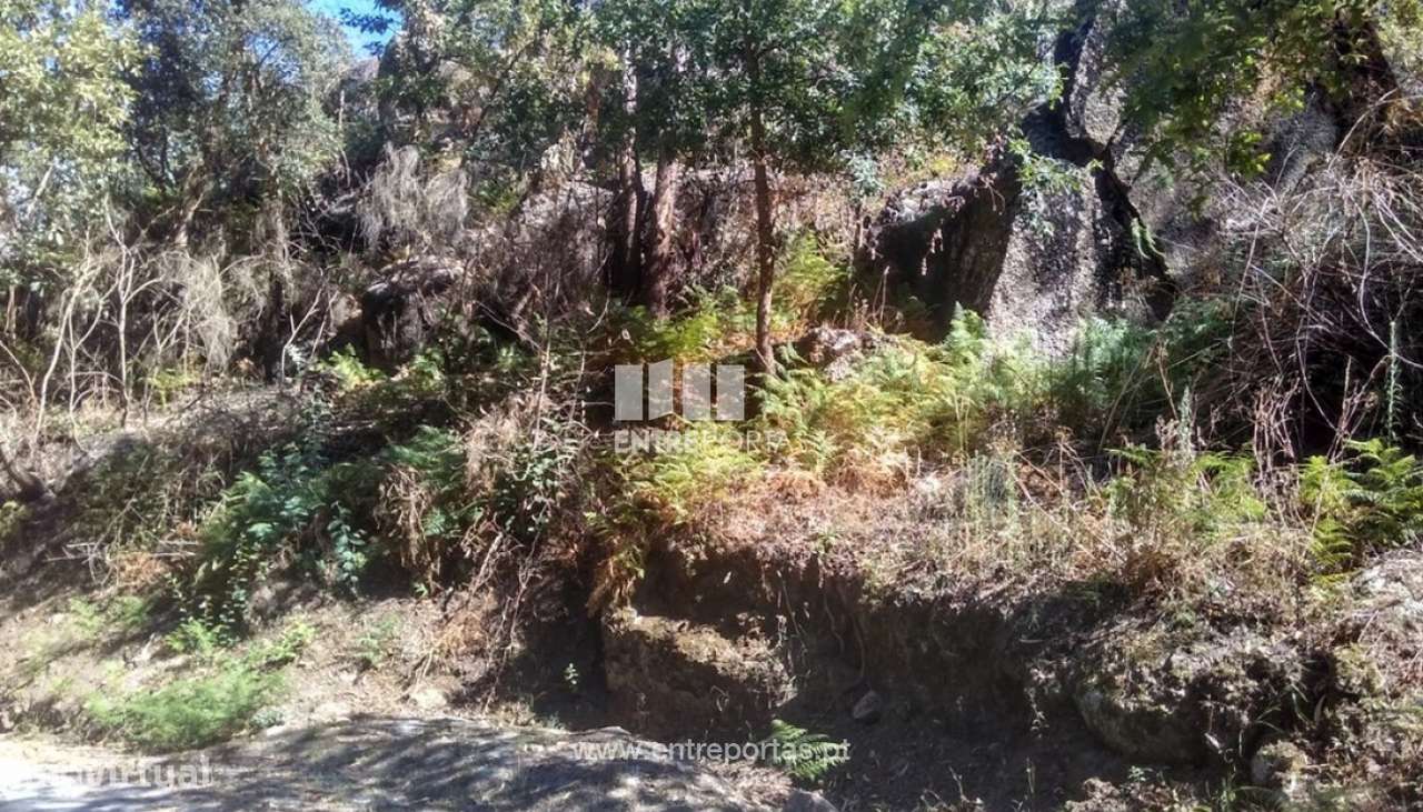 Venda Terreno, Soalhães, Marco de Canaveses - Grande imagem: 4/8