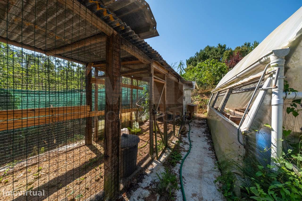 Terreno Agrícola na Fanadia | 16.100 m² de Potencial e Infraestrutu...-10